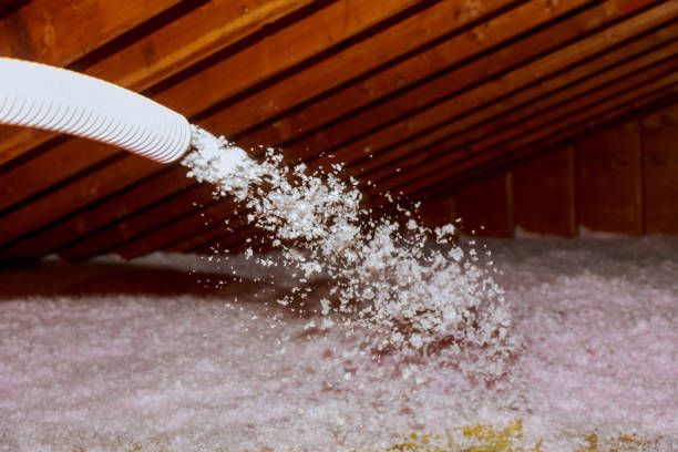 Professional Insulation Contractor in Appalachia, VA