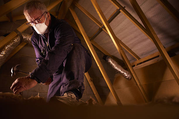 Best DIY Insulation Kits and Guidance in Appalachia, VA